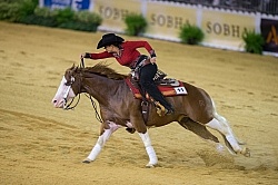 Cira Baeck BEL and Colonels Shining Gun WEG 2014 Normandy