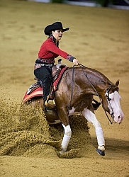 Cira Baeck BEL and Colonels Shining Gun WEG 2014 Normandy