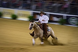 Jordan Larson USA and HF Mobster WEG 2014 Normandy