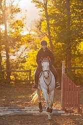 Schooling English over Poles