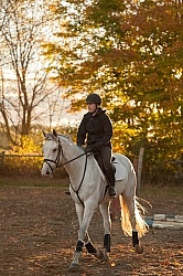 Schooling English on the Flat