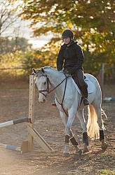 Schooling English on the Flat