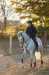 Schooling English on the Flat