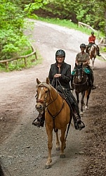 Trail Riding in a Mechanical Hackamore