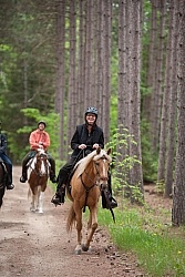 Trail Riding in a Mechanical Hackamore