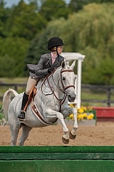 Childrens Hunter Over Fences