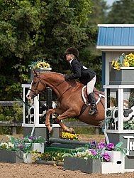 Childrens Hunter Over Fences