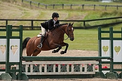 Childrens Hunter Over Fences