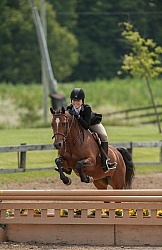 Childrens Hunter Over Fences