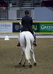 Jacqueline Brooks on D Niro, RAWF 2014 Dressage