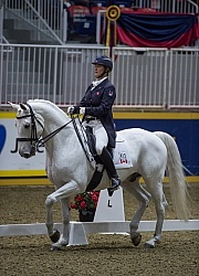 Jacqueline Brooks on D Niro, RAWF 2014 Dressage