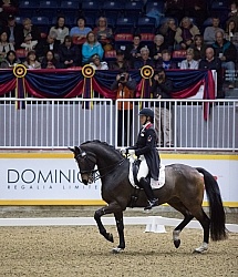 Karen Pavicic on Don Daquiri, RAWF 2014 Dressage