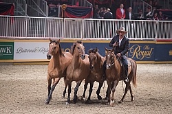 Guy McLean performing at the RAWF 2014