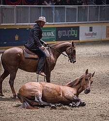 Guy McLean performing at the RAWF 2014