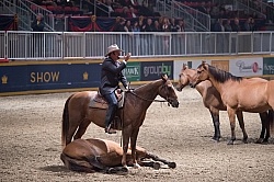 Guy McLean performing at the RAWF 2014