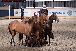 Guy McLean performing at the RAWF 2014
