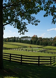 Fencing and Paddocks Wood Fencing and Paddocks