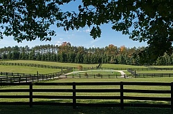 Fencing and Paddocks Wood Fencing and Paddocks