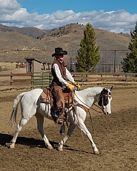Western Equitation