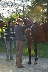 Vet Tape Measuring for Weight