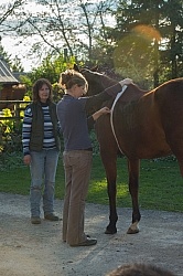 Vet Tape Measuring for Weight