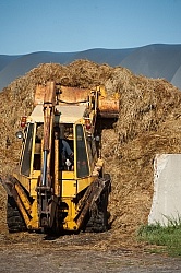 Manure Management