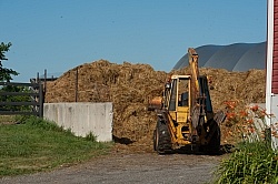 Manure Management