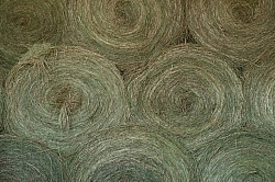 Storage of Round Hay Bales