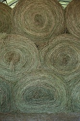 Storage of Round Hay Bales