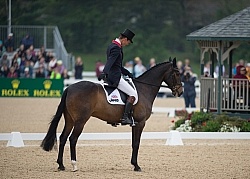 William Fox-Pitt and Bay My Hero Rolex 2014