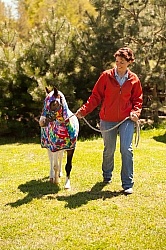 Miniature Horse Wearing a Slinky