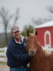 Corolla Horse Domesticated