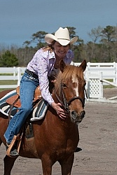 Corolla Horse Domesticated