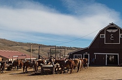 C Lazy U Ranch