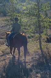 On The Trail at C Lazy U