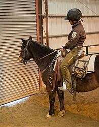 Changing from Flight to investigative