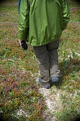 Walking on the horse paths of Sable Island 