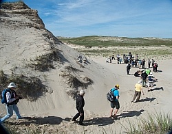 Walking on Sable Island