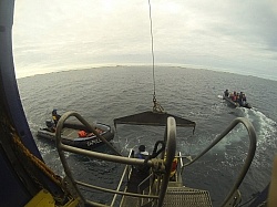 Zodiacs from Ship to Sable Island