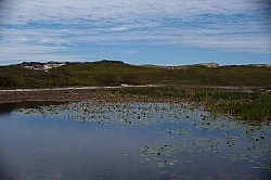 The Fresh Water Ponds of Sable Island
