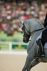 Michael Eilberg and Half Moon Delphi Grand Prix Special WEG 2014 Dressage Braids