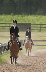 Hunter in Ring on Flat