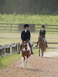 Hunter in Ring on Flat