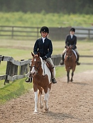 Hunter in Ring on Flat
