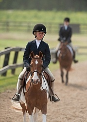 Hunter in Ring on Flat