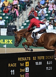 Phillipe Le Jeune and Vigo D'arsouilles WEG 2010