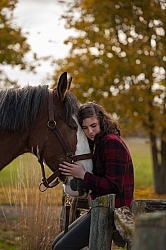 Clydesdale with People