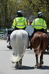 Rolex 2015 Mounted Police Horses