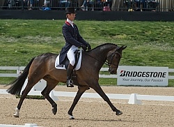 William Fox-Pitt and Bay My Hero Rolex 2015