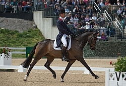William Fox-Pitt and Bay My Hero Rolex 2015